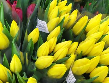 Заглянем в отдел срезанных цветов?